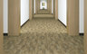 TM736 Sandstone Plank Carpet Tile installed