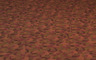 TM141 Gesso Carpet Tile installed
