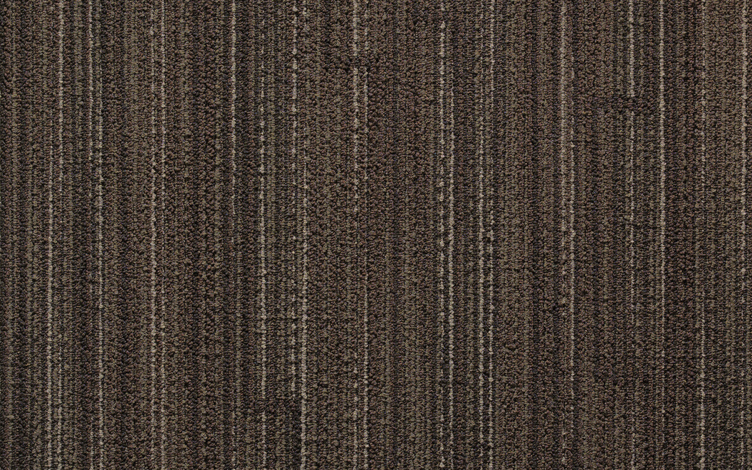 TM775 Alter Plank Carpet Tile 05LR Outerbanks