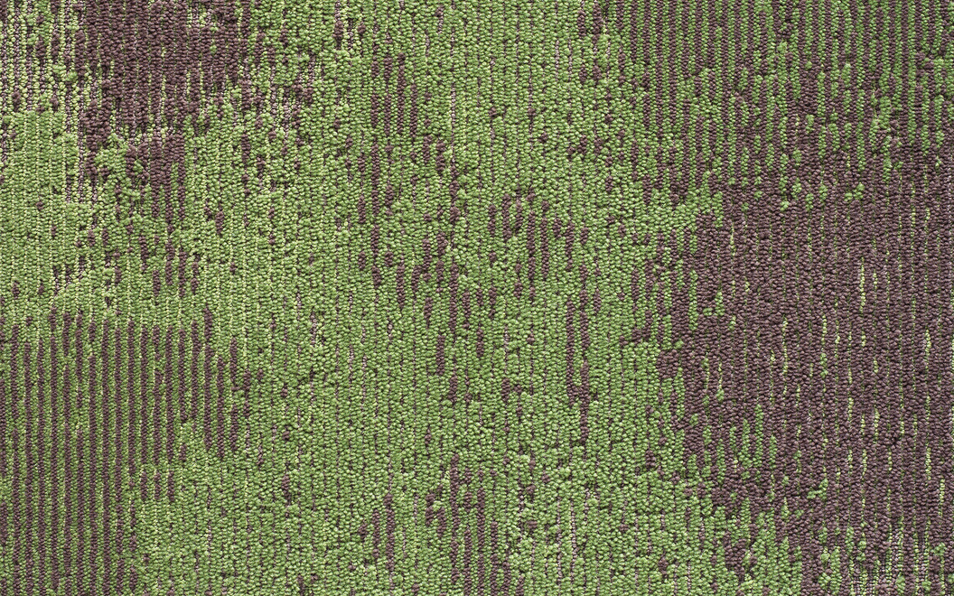 TM734 Frontier Plank Carpet Tile 16FT Green Acres