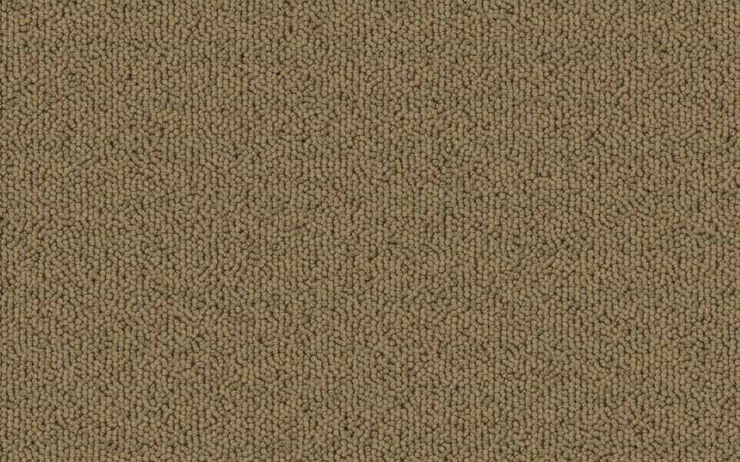 T504 Echo Solid Carpet Tile 50401 Wheat