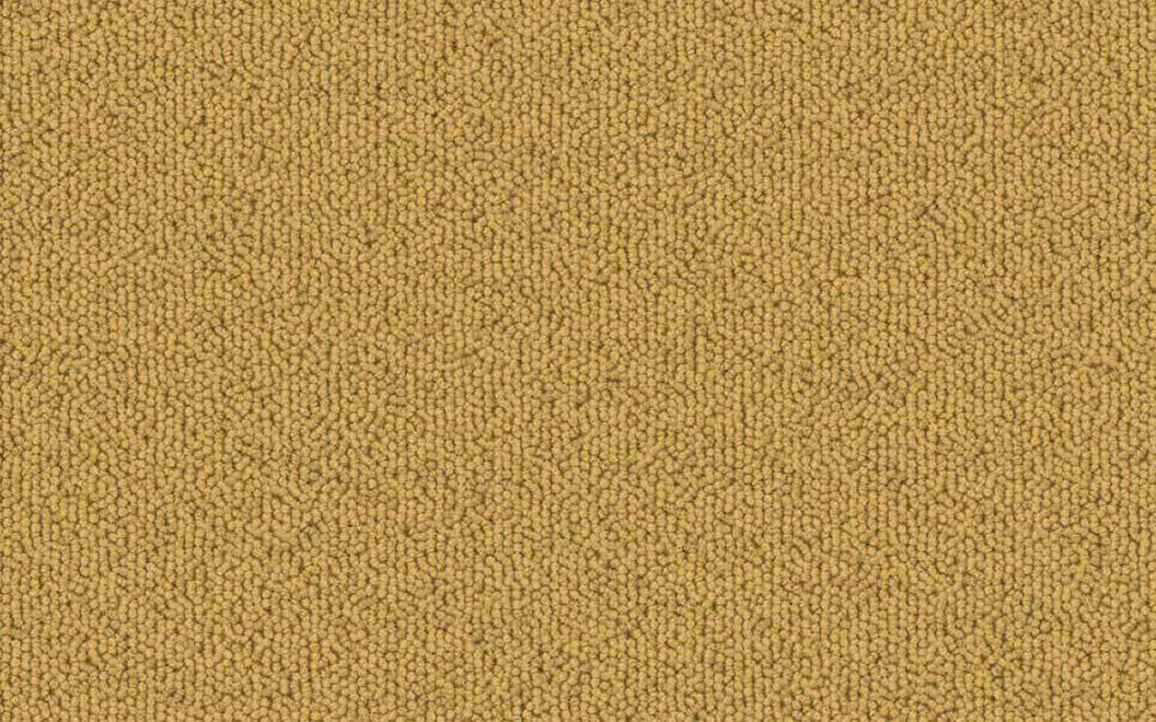 T504 Echo Solid Carpet Tile 50402 Ochre