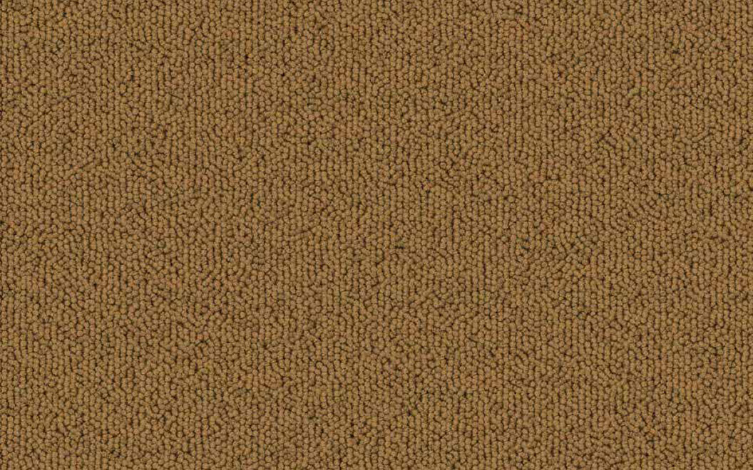 T504 Echo Solid Carpet Tile 50403 Aztec