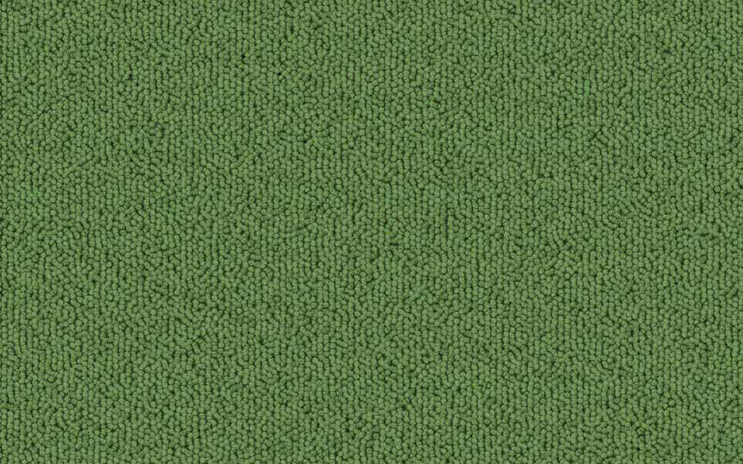 T504 Echo Solid Carpet Tile 50405 Parrot