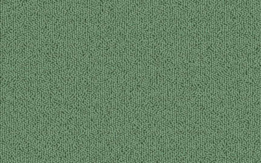 T504 Echo Solid Carpet Tile 50406 Balsam