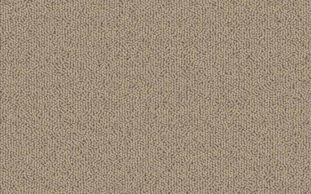 T504 Echo Solid Carpet Tile 50407 Tan