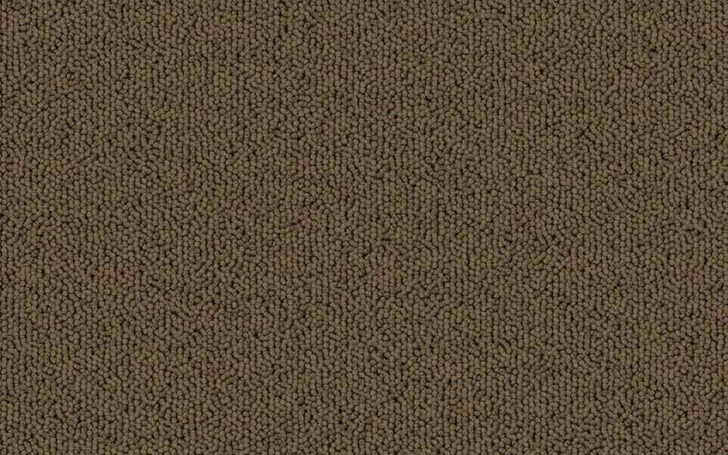 T504 Echo Solid Carpet Tile 50408 Praline