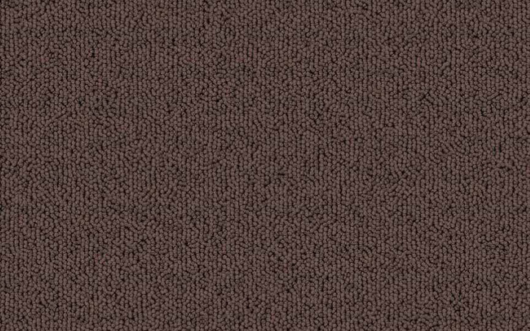 T504 Echo Solid Carpet Tile 50409 Otter