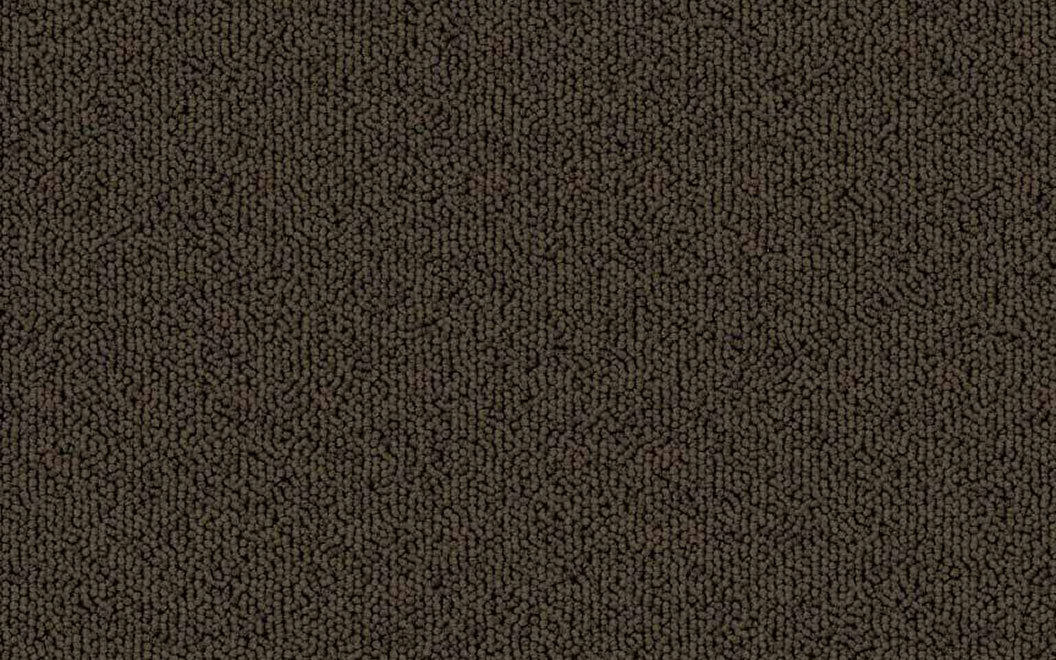 T504 Echo Solid Carpet Tile 50412 Shadow Green