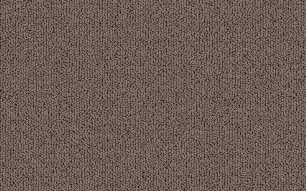 T504 Echo Solid Carpet Tile 50415 Walnut