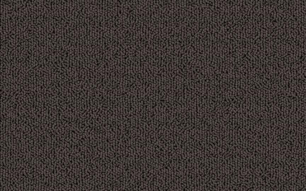 T504 Echo Solid Carpet Tile 50420 Dark Taupe