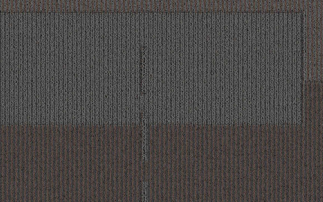 T505 Feedback Carpet Tile 50500 Assessment