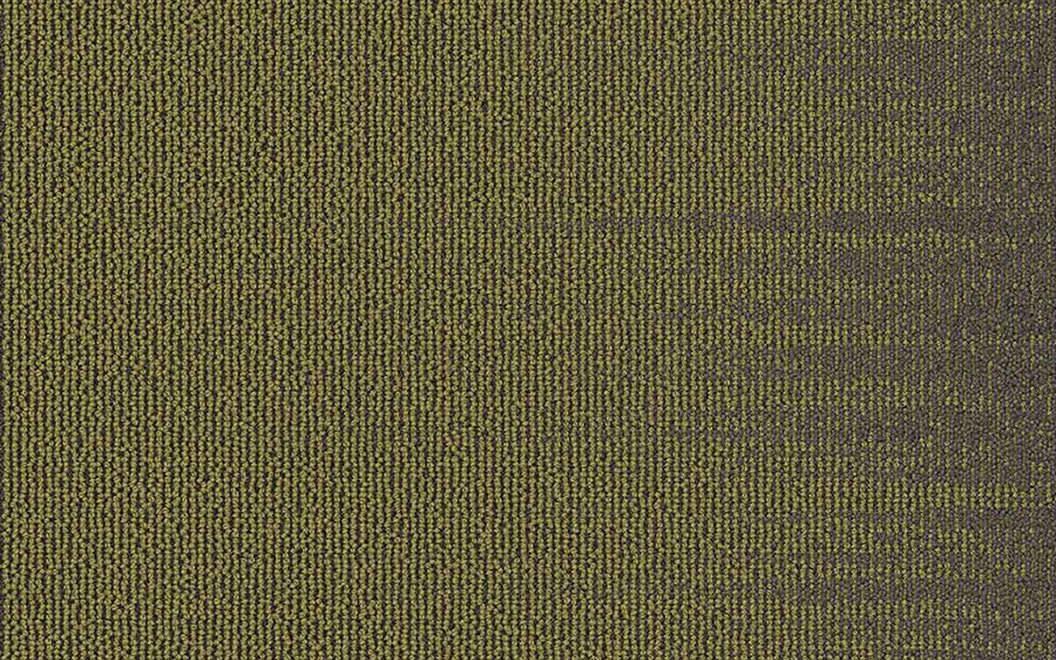 T511 Listen Carpet Tile 51103 Reveal