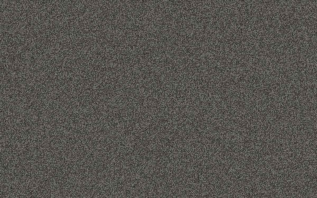 T7977 Easy Going Carpet Tile 79701 Skip