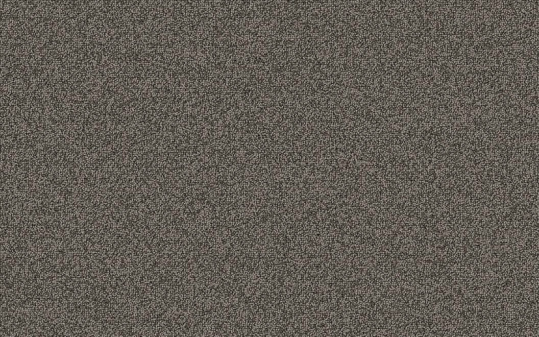 T7977 Easy Going Carpet Tile 79707 Climb