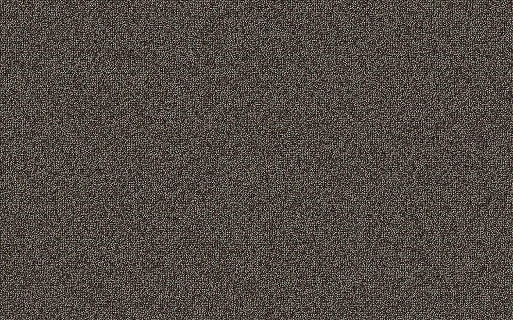 T7977 Easy Going Carpet Tile 79708 Trail