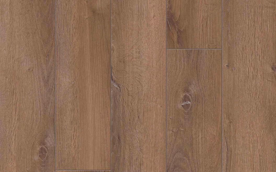 8410 Fast 2 Floor LVT Quick Ship W1022 Brown Fox