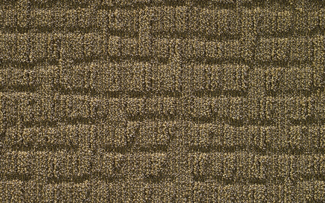 482 Surface FC55 Cornsilk