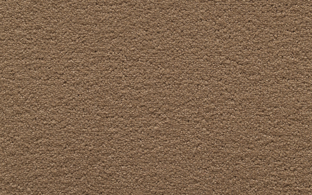 312 Positano Colore P101 Dusty Tan