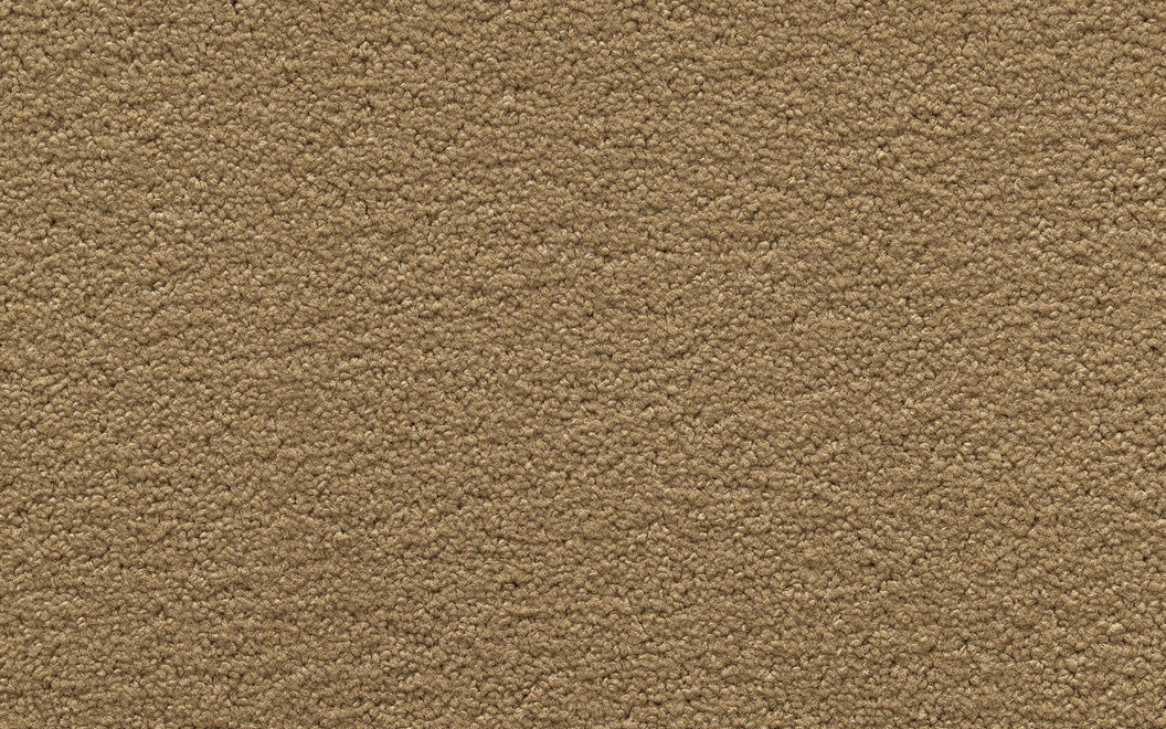 312 Positano Colore P124 Canvas Beige