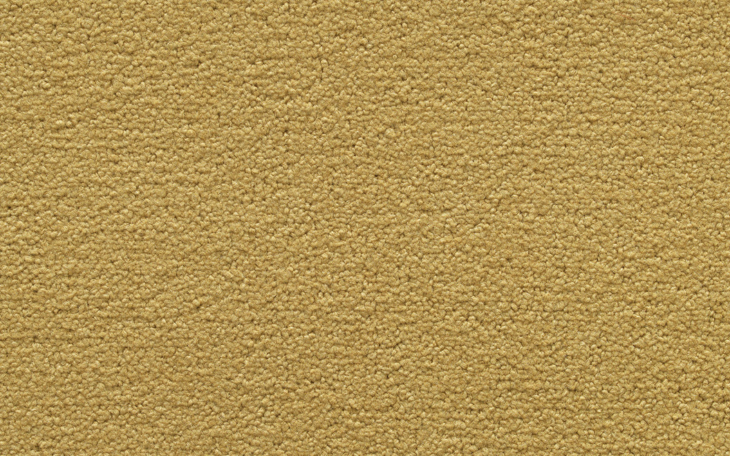 312 Positano Colore P141 Soft Gold