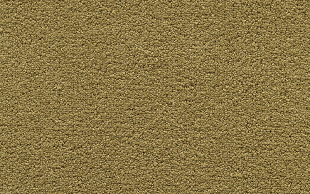 312 Positano Colore P145 Sage Khaki