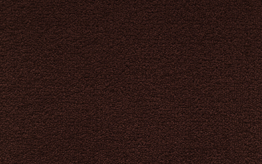 312 Positano Colore P188 Coco Brown