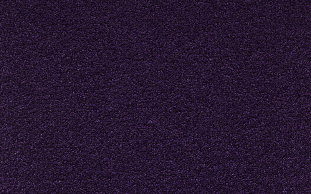 312 Positano Colore P200 Purple Velvet