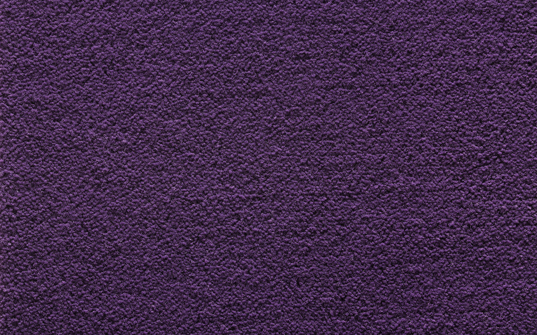 96 Paradiso di Colori P578 Cut Lavender