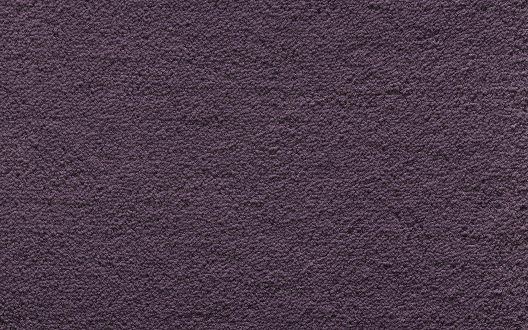 96 Paradiso di Colori P579 Sheer Lilac